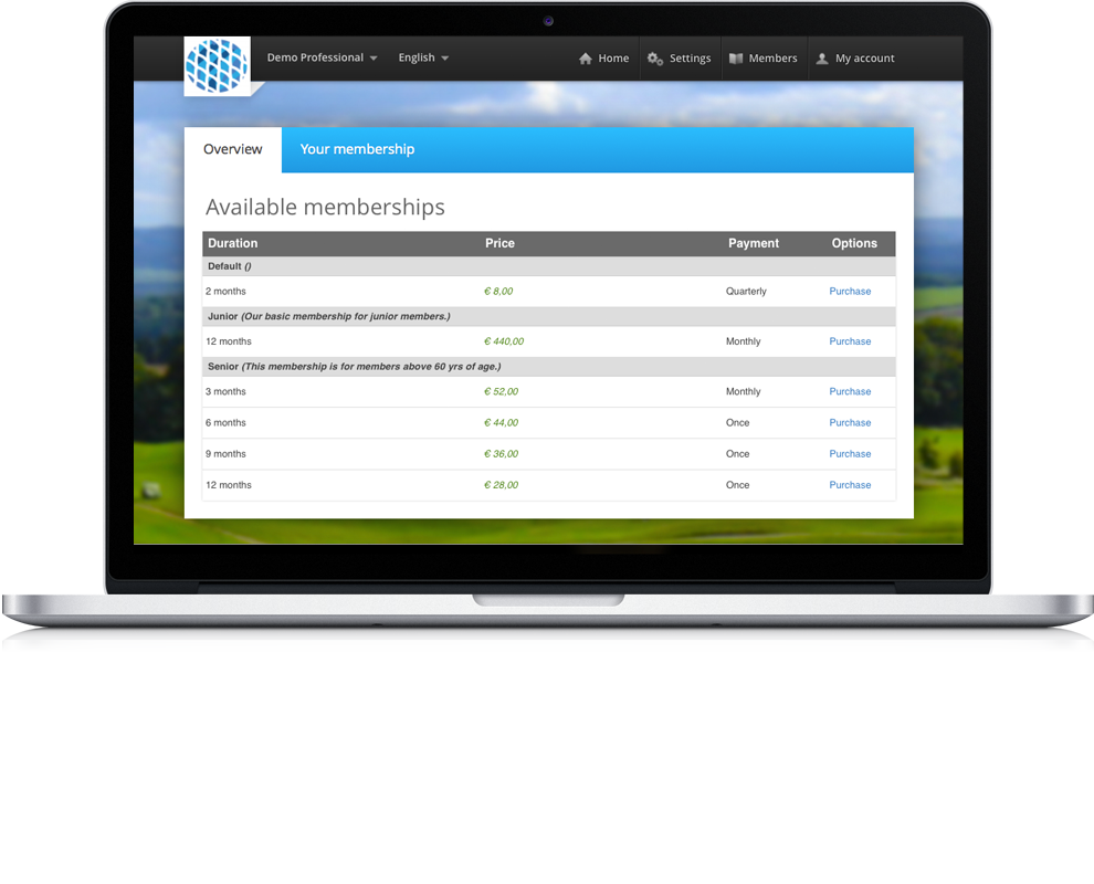p-generatemorerevenue